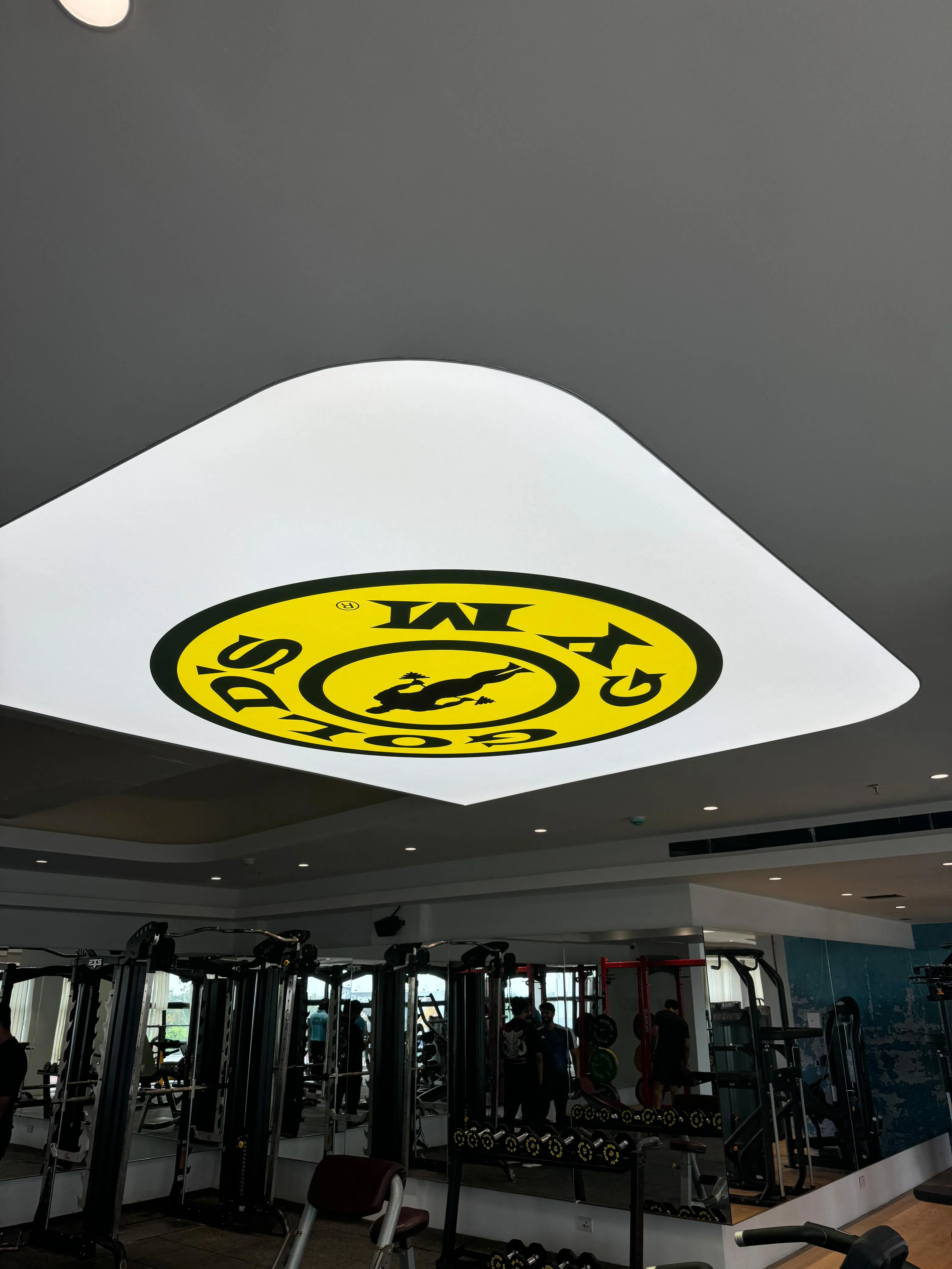 Gold Gym Printed Stretch Ceiling Kochi